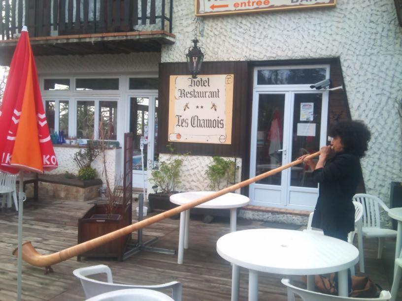 Hôtel Les Chamois La Bollene-Vesubie Exterior foto